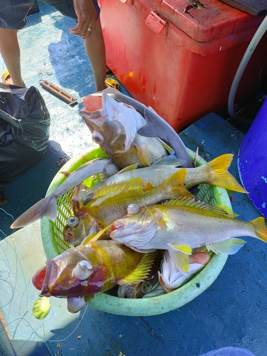  [b]ปลากินเเปปเดียวเต็มตระกร้าแล้วคร