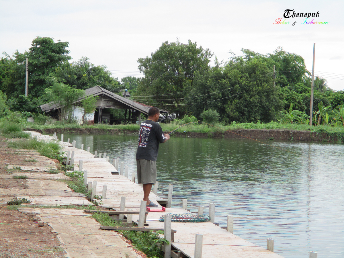 ซุ้มข้าง ๆ โดนอีกแล้ว