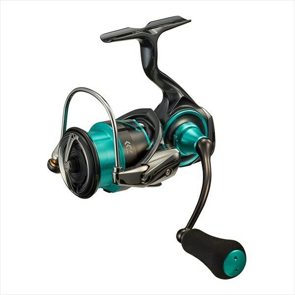 DAIWA EMERALDAS AIR FC LT Model 2021

OVERVIEW

The first Emeraldas reel to feature Monocoque (M