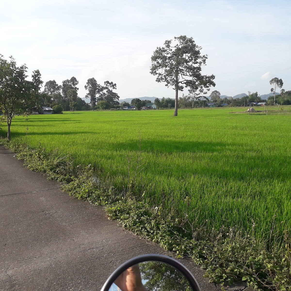 ตกปลาแถวบ้าน ในวันที่เจอหมายปลาหมอ