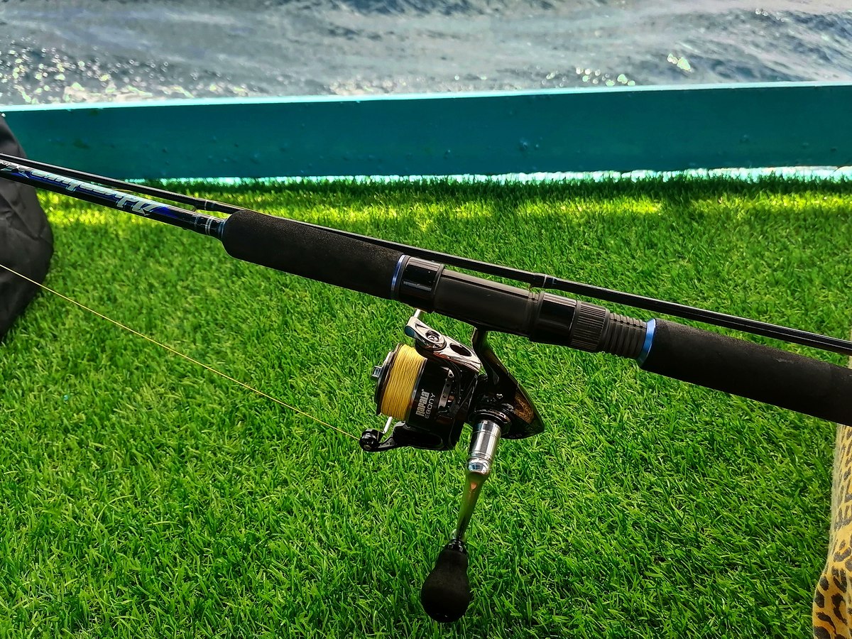 Rapala​ ebony​ 2500
Storm​ Adventure​ x-treme​ saltwater​ Pe1-3​ 7ft​ :smile: