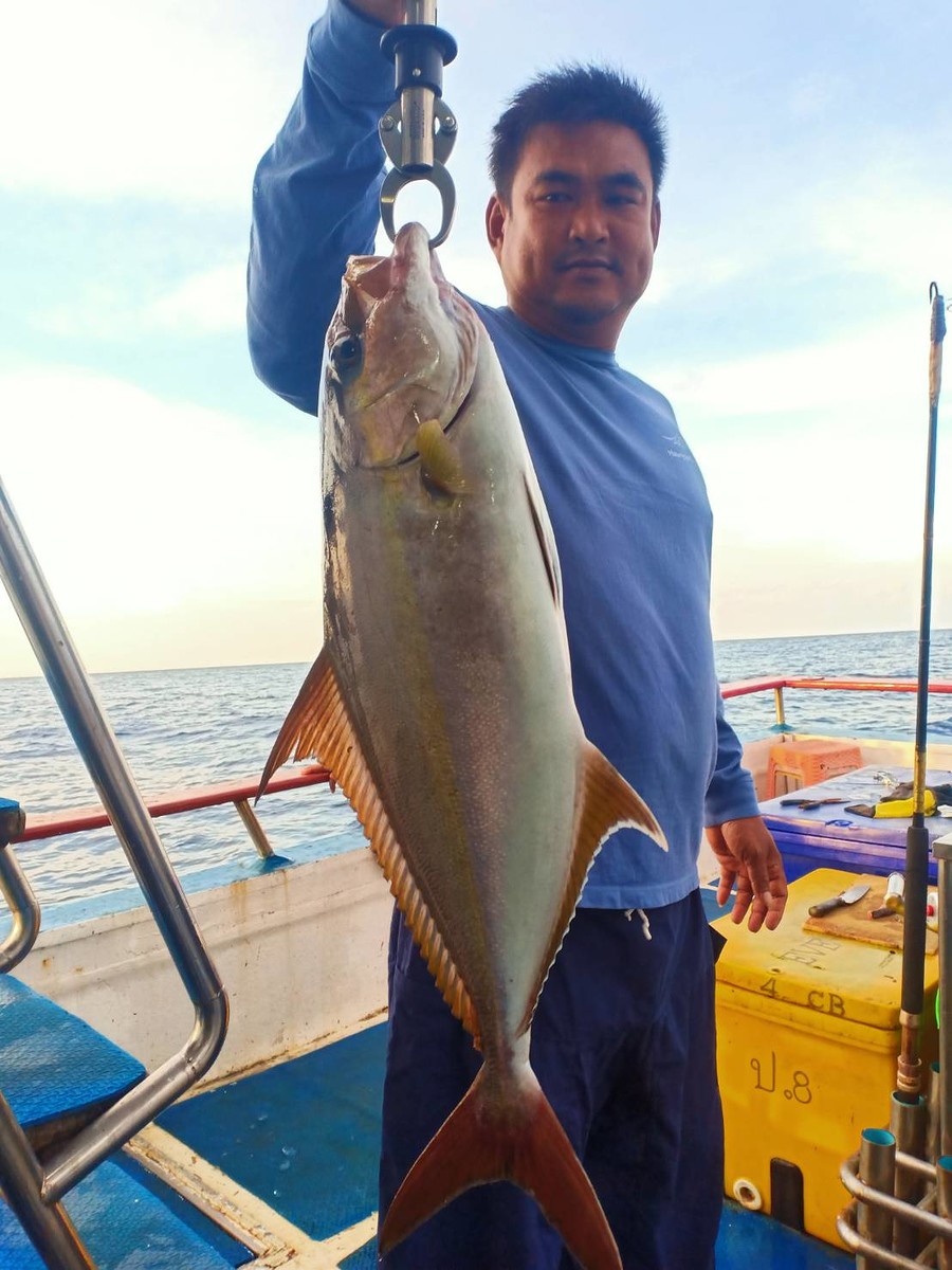 Amberjack :grin: