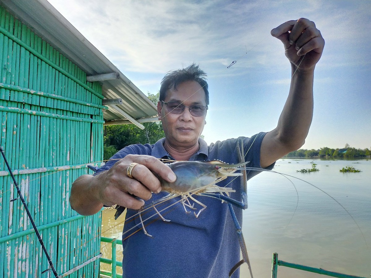 อย่างน้อย....ก้อมีน้องกุ้งมาเยือน....555
