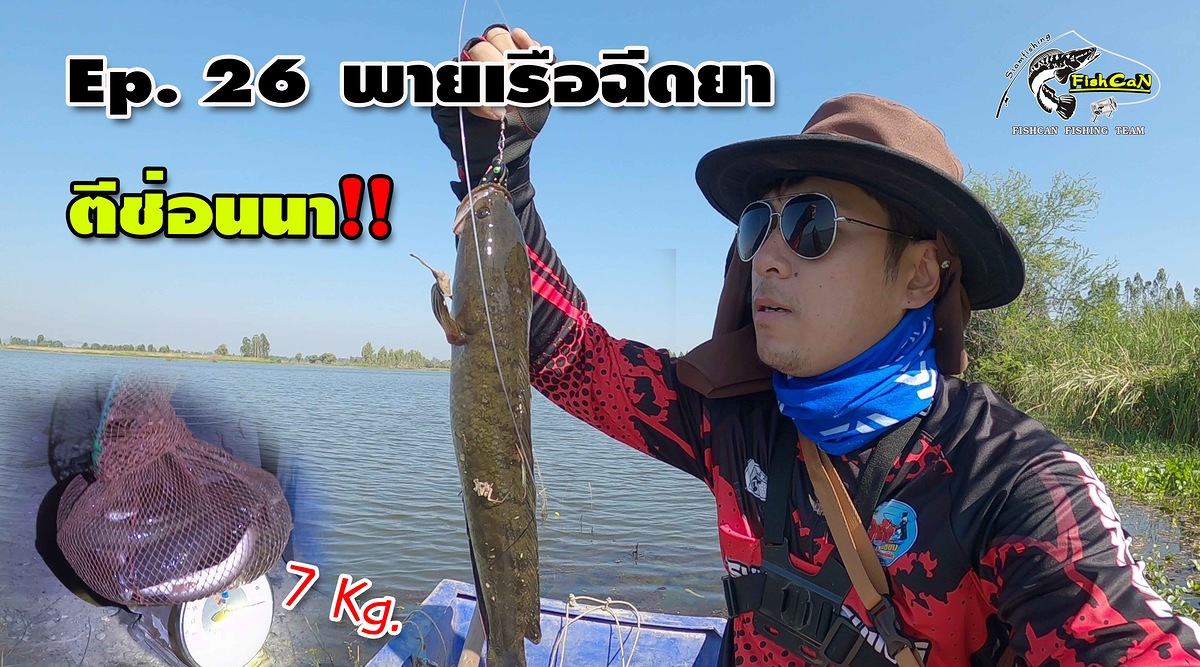 พายเรือตีปลาช่อนนา น้ำท่วมสุพรรณบุรี