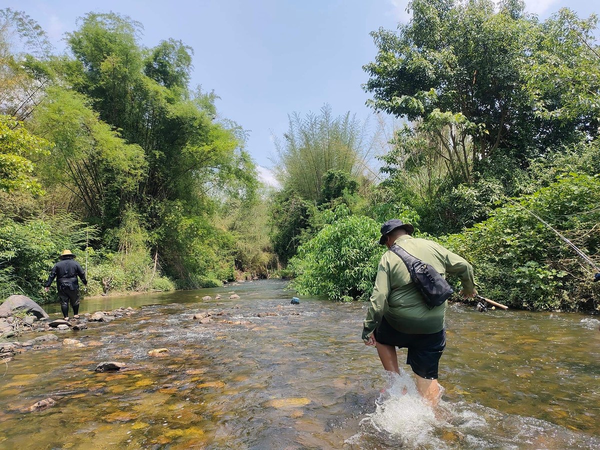 เรื่องเล่าของลำธาร จากปากคำของคนเมือง #Streamfishing