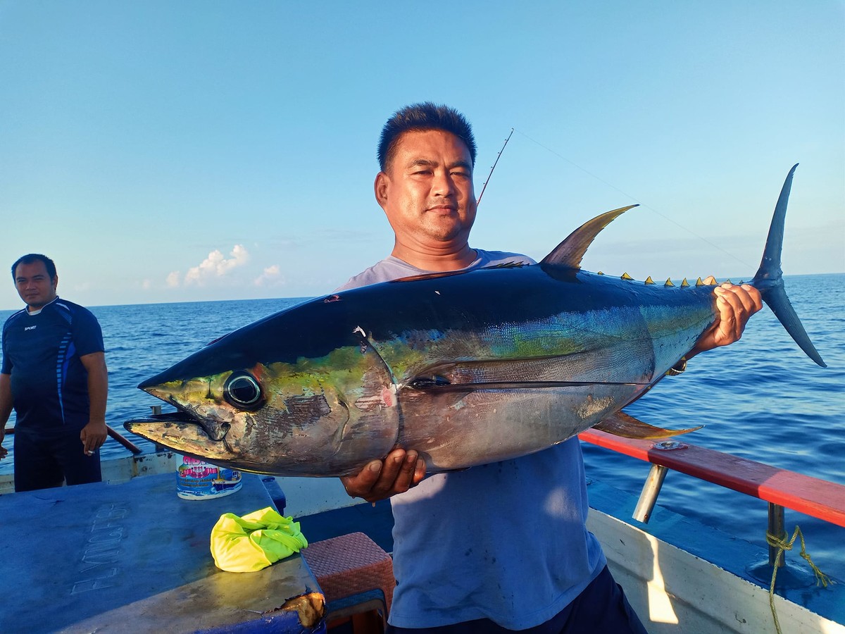 Yellow fin Thailand not India or Myanmar