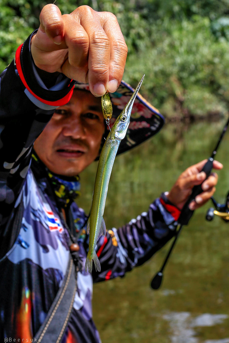 ปลากระทุงเหวเมือง (อังกฤษ: Freshwater garfish, Asian freshwater needlefish) เป็นปลาน้ำจืดชนิดหนึ่ง ม