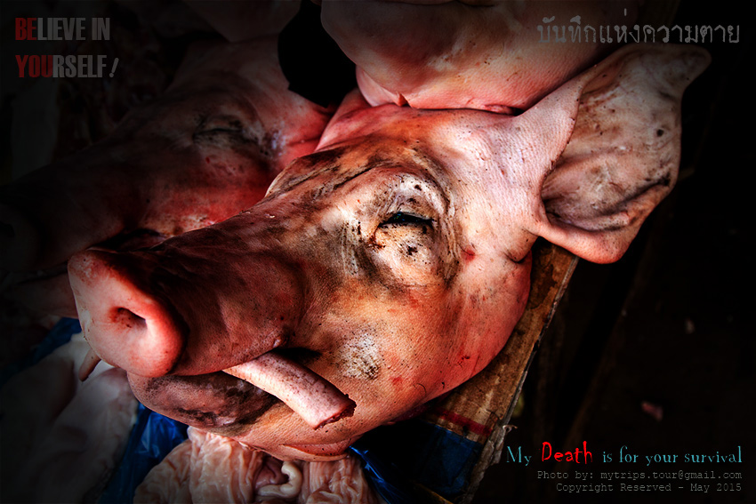 ภาพนี้ หลายคนอาจเคยเห็นบ่อยครั้ง เพราะเป็นคนไปจ่ายตลาด เดินผ่านเขียงหมู เห็นภาพนี้จนชินตา จึงไม่รู้ส