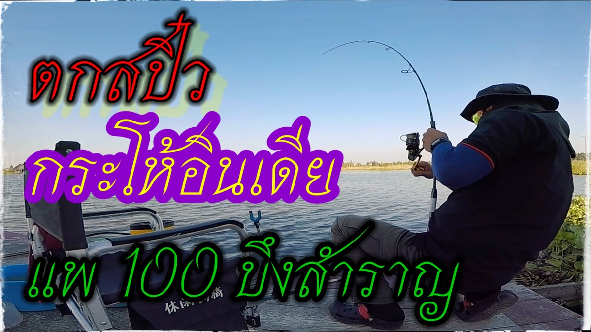 กระโห้อินเดียใหญ่!! (CATLA INDIAN CARP) แห่งบึงสำราญ แพ 100 ปลายฟ้า