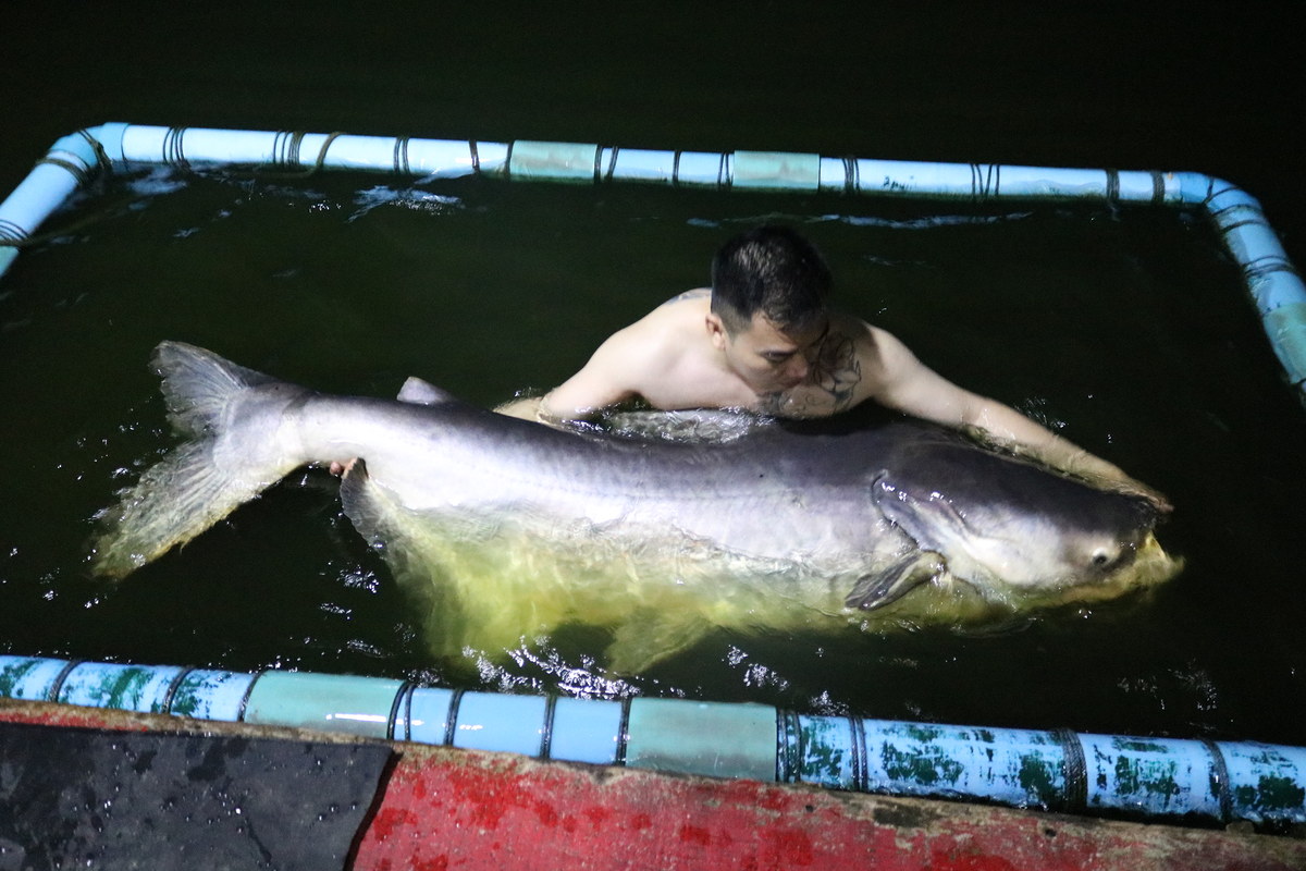 ปลาระดับไซส์​ 100​ KG​ + ที่บึงสำราญ​ คง