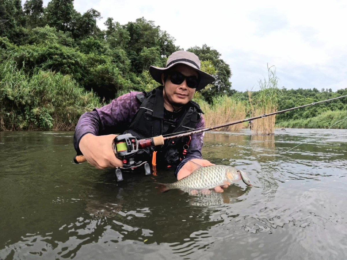 กระสูบต้นแม่น้ำเพชรบุรี