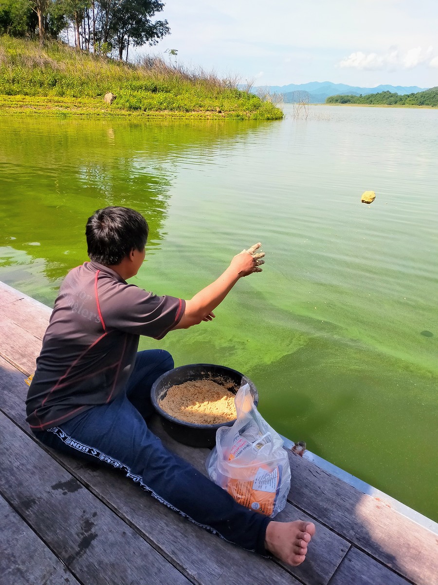 เราสองคนและไต๋ช่วยขนของขึ้นแพสิ่ง