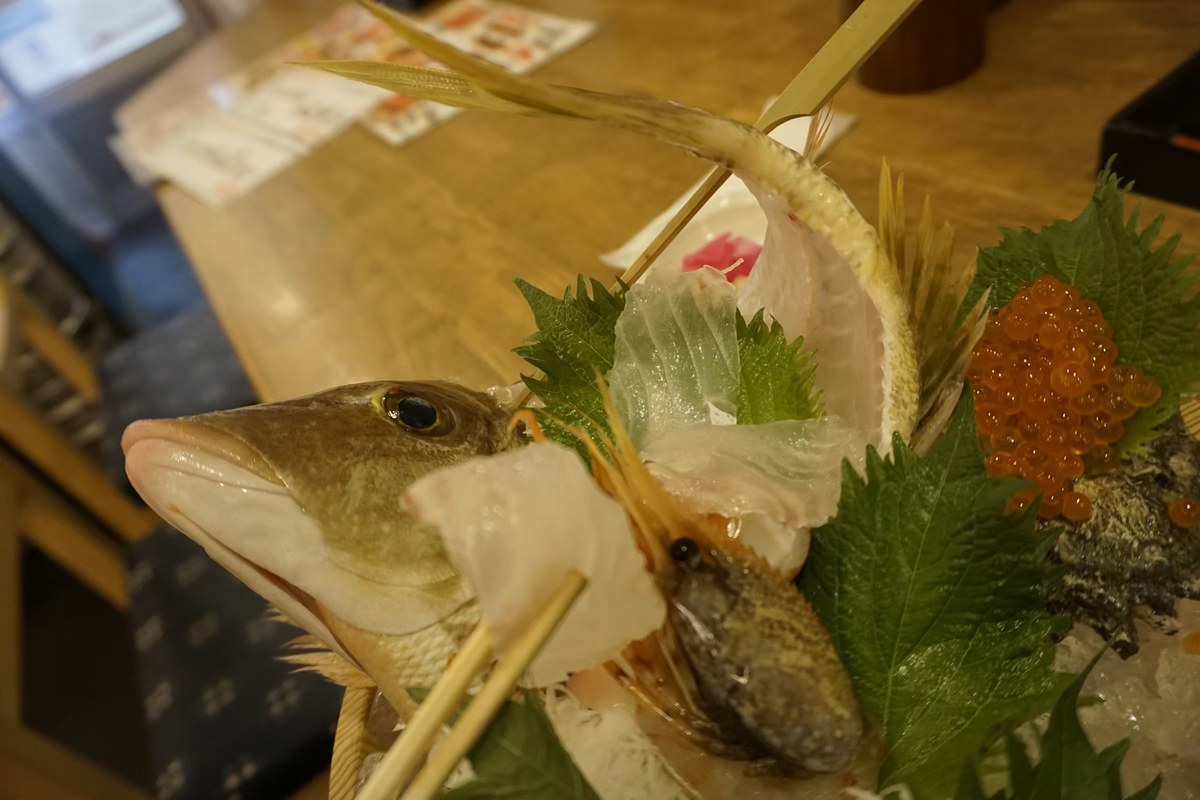 มาร้านปลาดิบบ้างครับ สั่งซาชิมิ ปลาตะมะ มากิินบ
เนื้อหวานมาก ปลาที่นี่สดจริงๆ แทบจะลืม ปลาดิบบ้านเร