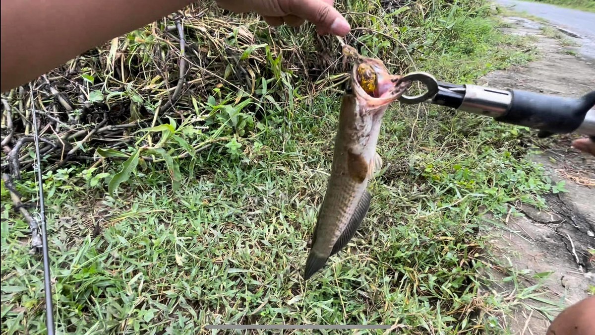 เต็มคำเลยครับตัวนี้ เจอกบยางขนาด 3cm