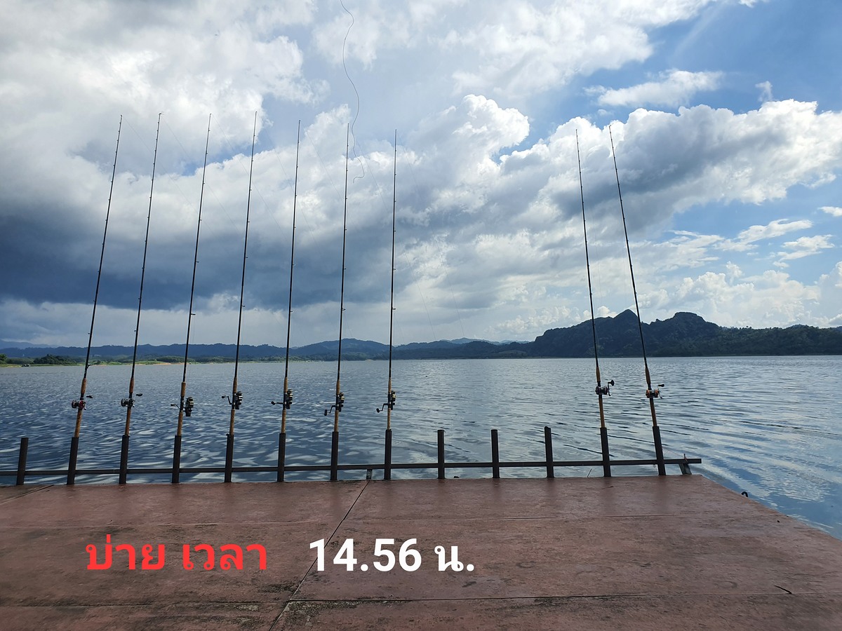  [b]เงียบสนิดหลายแพครับ ช่วงบ่าย[/b] :sleeping