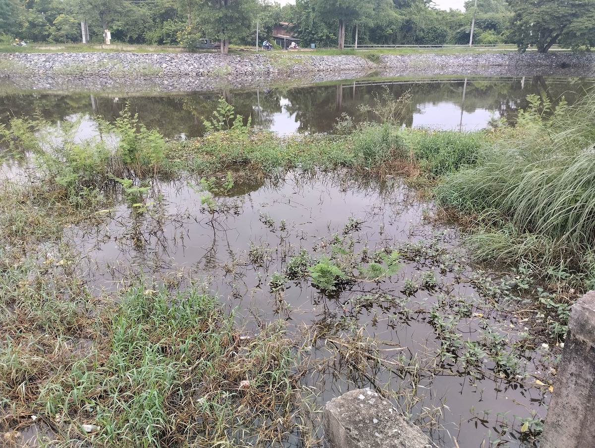 ฝนตกน้ำขึ้นมาเยอะเลยครับ