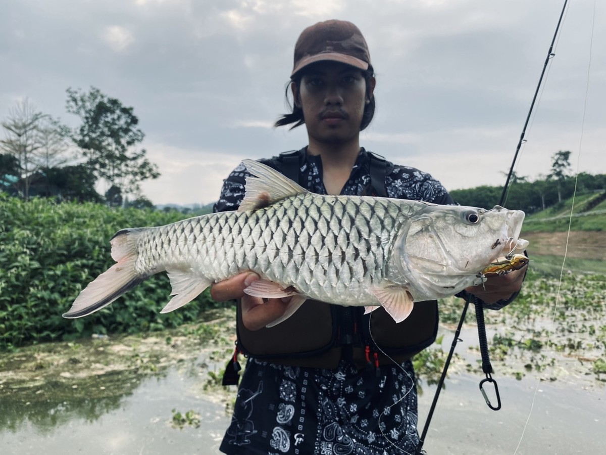 ทันทีที่เหยื่อค่อยๆโรยตัวลงสู่พื้