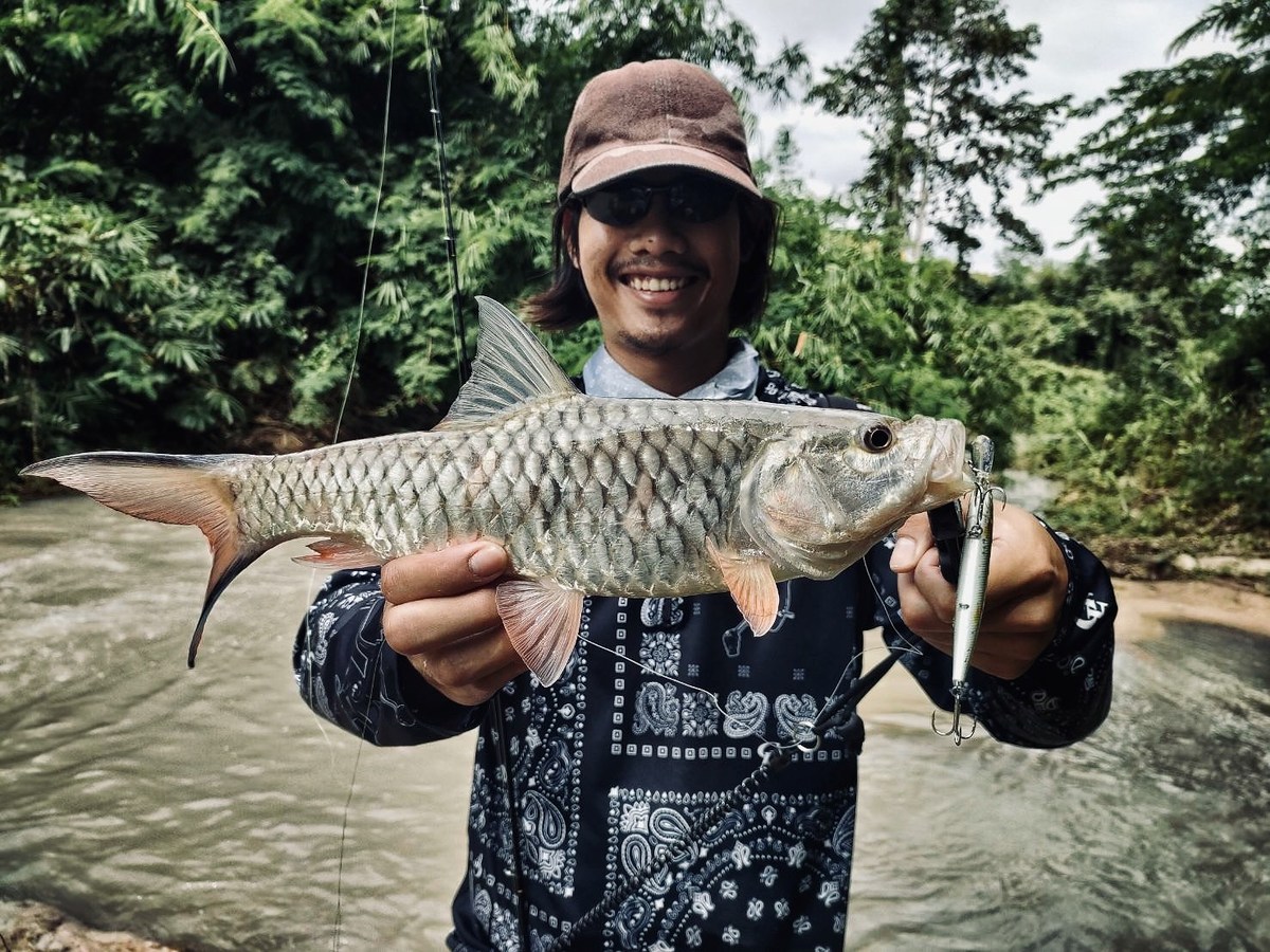 กระสูบต้นน้ำ จากฝนชุดสุดท้ายของฤดูกาล

Lure:Imakatsu Dardo 100