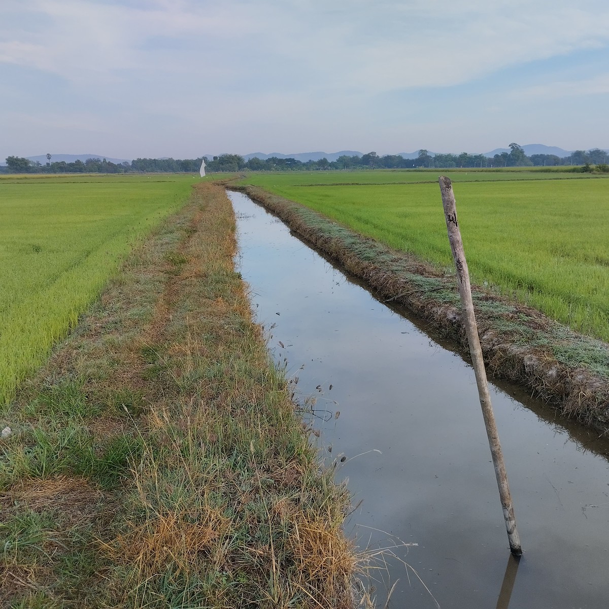 ทริปตกปลาช่อนแถวบ้าน โทฟี่ไซด์สถิติใหม่