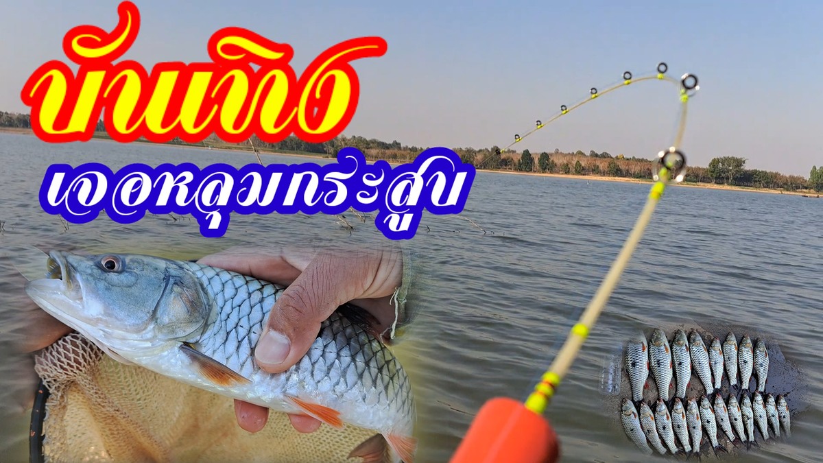 หลุมกระสูบ