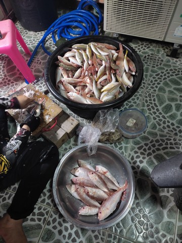  :smile: พอได้กิน 