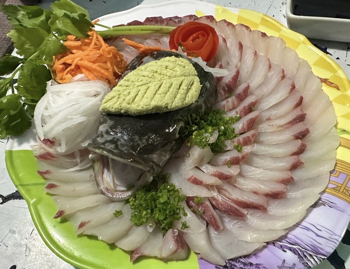 ปลาเนื้อดีๆ ขึ้นมาก็จับทำของกินเช่นกันไป
ช่อนทะเล ซาซิมิ
 :cool:
 :cool:
 :cool:
 :cool:
 :coo