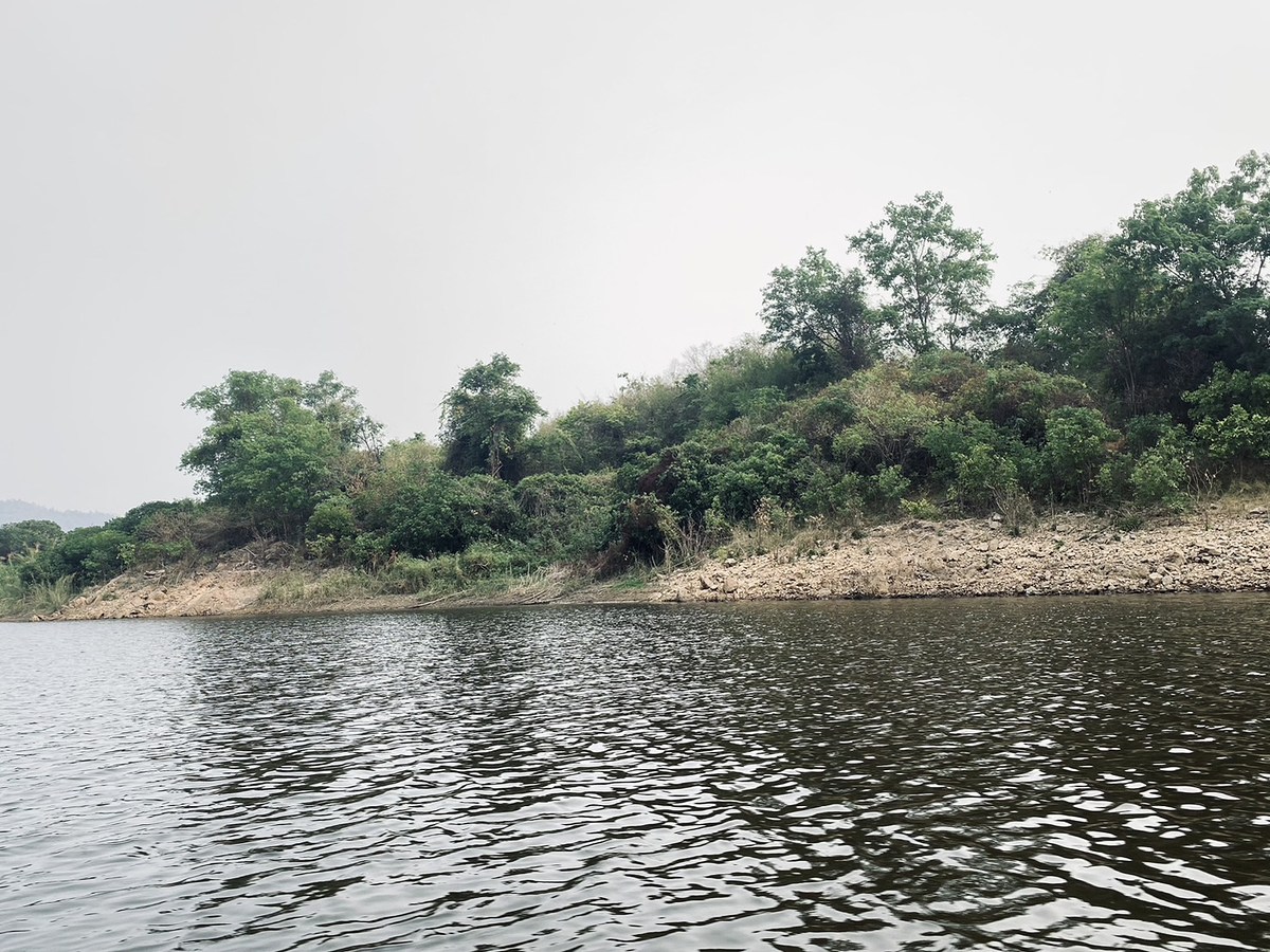 เราวนเรือมายังอีกฝั่งคลอง ในจุดที่