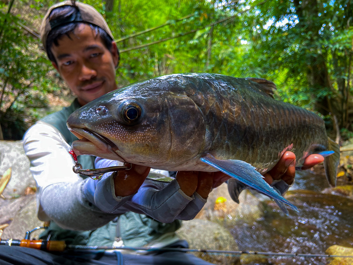 เเละในที่สุดสิ่งที่ไม่คาดคิดในทริ