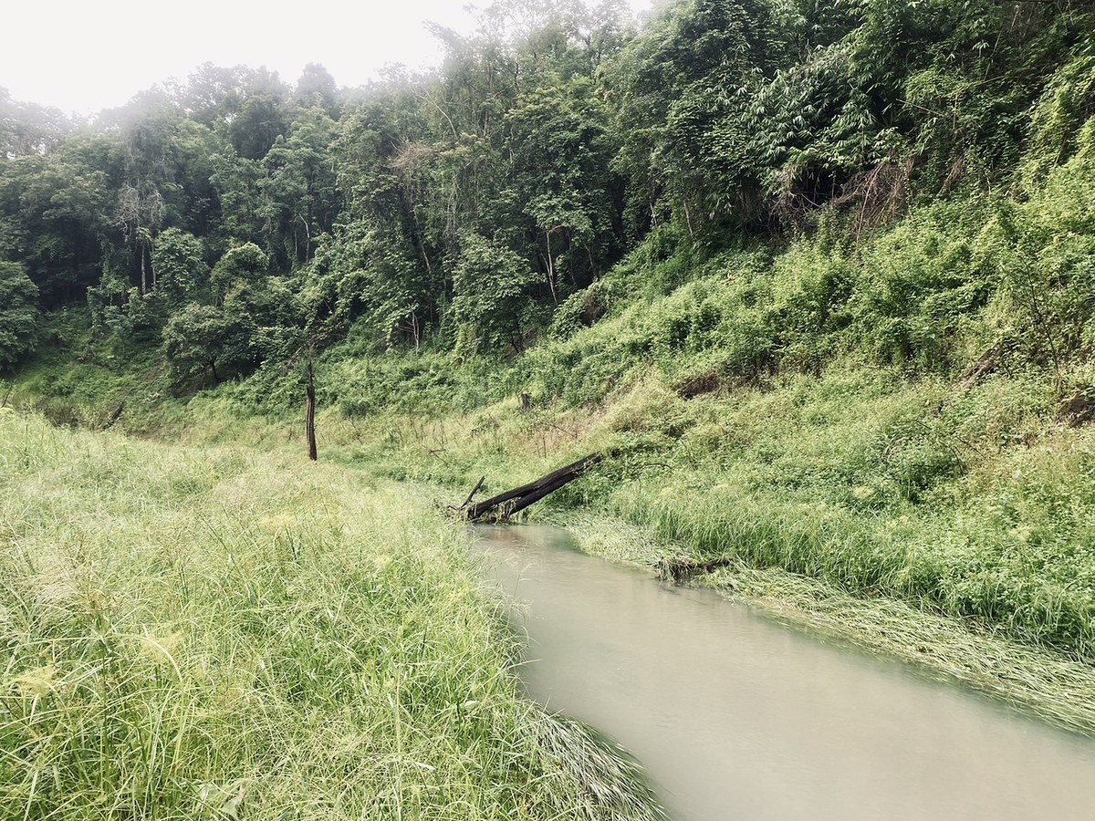 ไต๋ดันเรือเข้ามาจนสุดลำห้วย เราต้อ