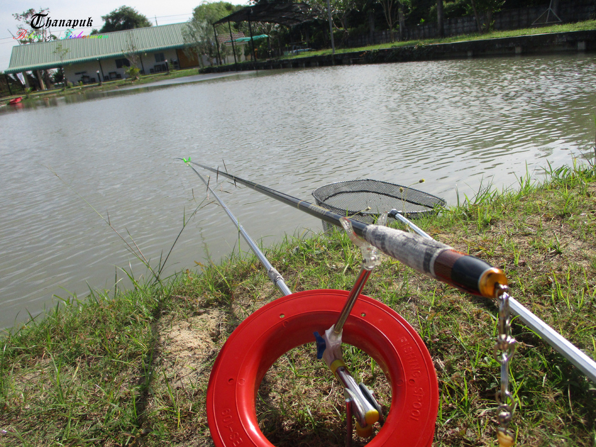 อาวุทของวันนี้ ชุดเดิมที่เคยใช้จากทริปที่แล้ว คัน 3.6 สาย 6lb เหยื่อเป็นขนมปังปั่นผสมไฮเกรดกับหัวเชื