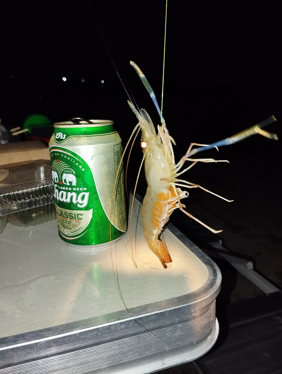 กุ้งตัวแรกของปีคับ หลังจากช่วยเหลื