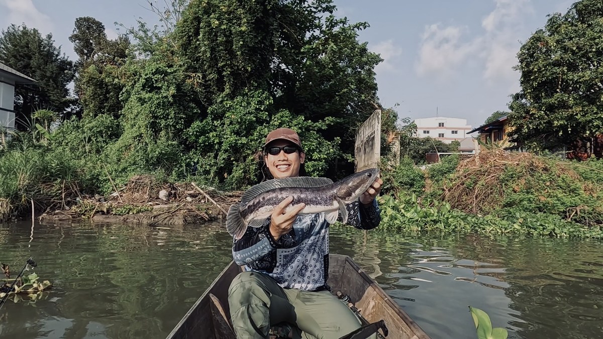 ประเดิมต้นปีได้ดีครับ ปลาชะโดแม่น้