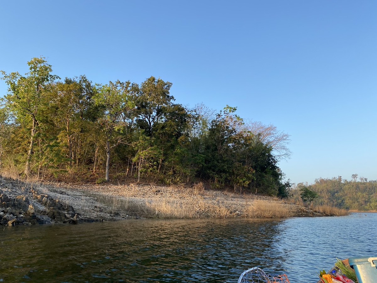 วิวหลังแพ