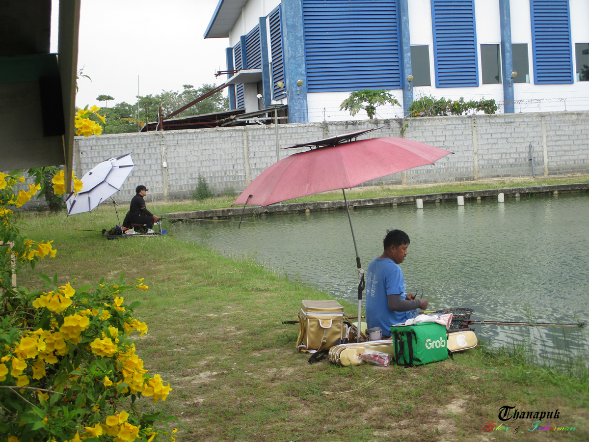 ด้านซ้ายผมเจอพี่คนนี้ เจ้าถิ่นทั้ง