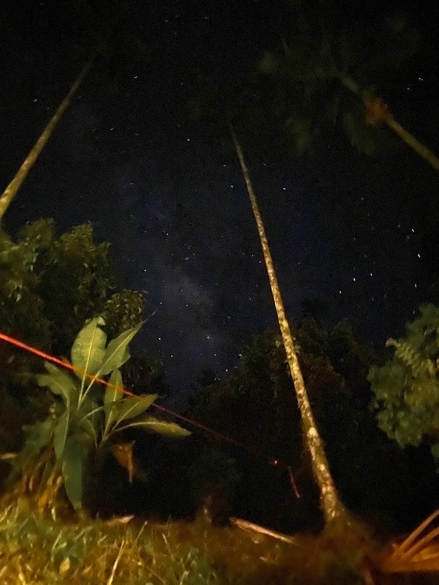 ทางช้างเผือกที่บ้านสวน ถ่ายด้วยโทรศัพท์ ภาพเลยไม่ค่อยชัดเท่าไหร่