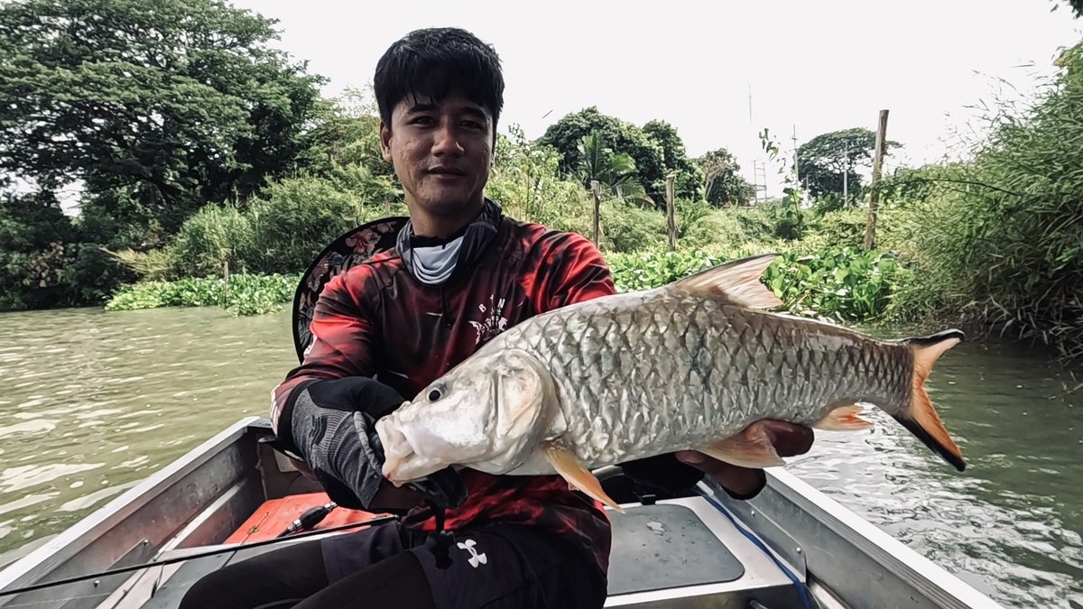 กระสูบตัวที่ สามของจารย์พีทแล้ว 
