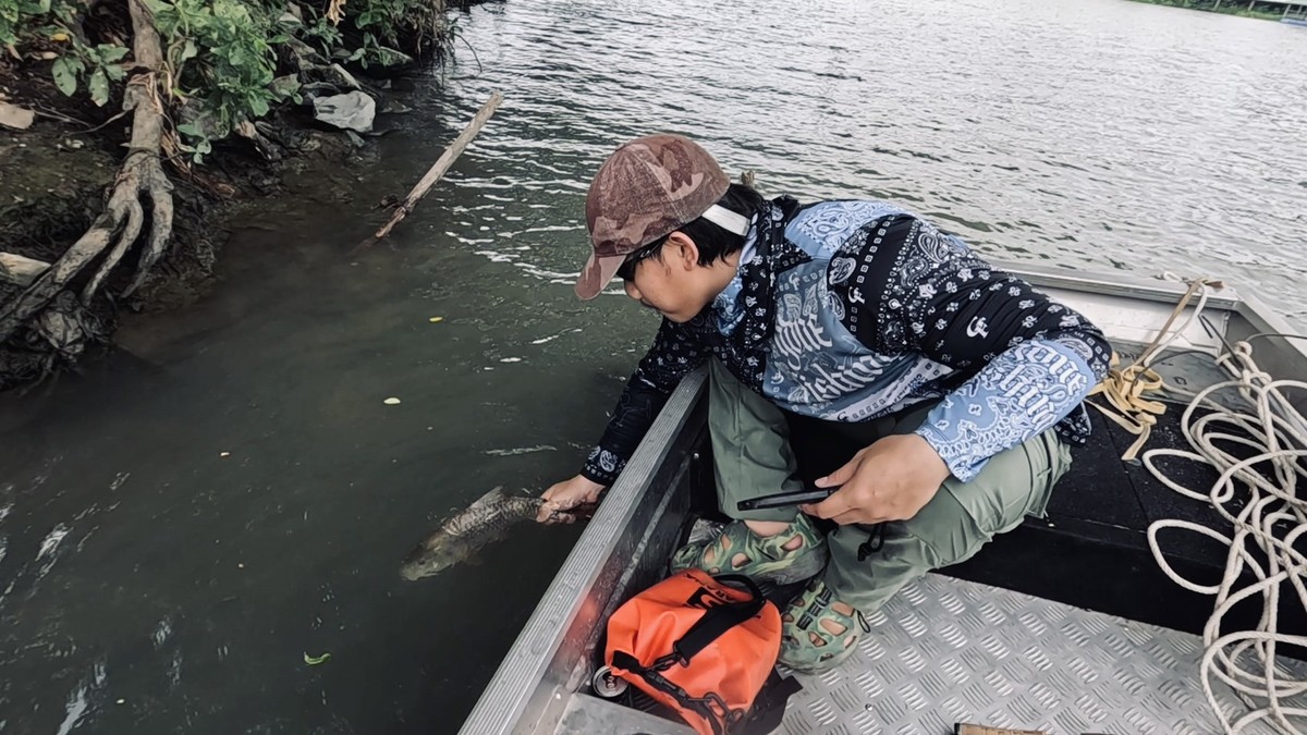 ปล่อยคืนแม่น้ำไปครับ ปลากระสูบเป็นปลาที่ผมเลี่ยงจะเอามากินที่สุด 
เคยลองพยายามนำมาทำหลายเมนูแล้ว รส
