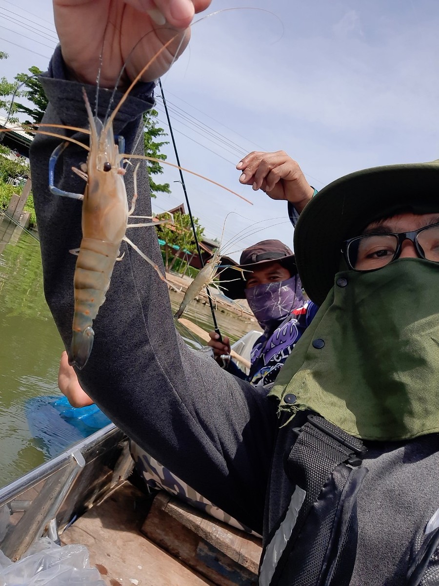 บางทีจับที 2 คัน