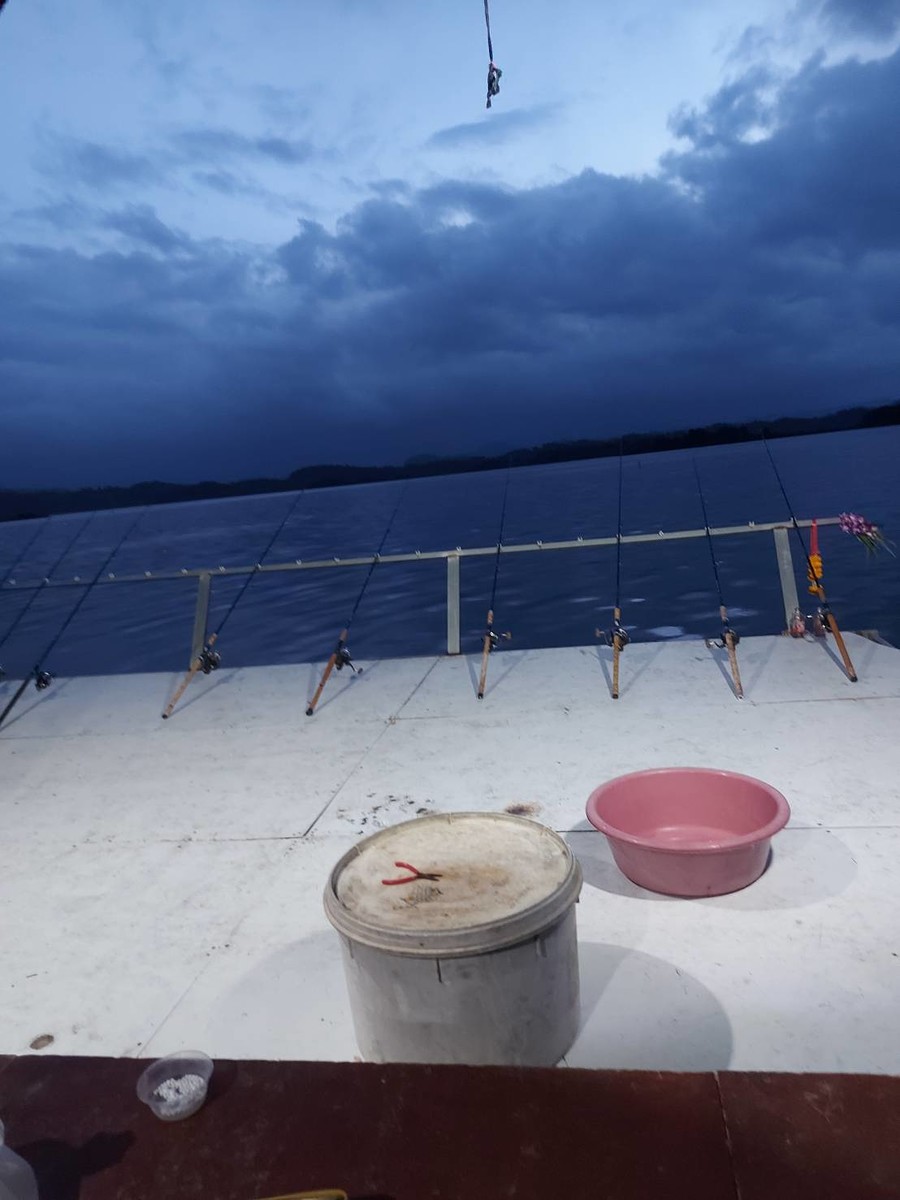 แดดไม่เจอ  เจอฝนถล่ม ลมกันโชกมากๆ ผมนึกว่าจะไม่เจอตัวปลาส่ะแล้ววันนี้ แต่ผิดคาด ปลาเข้าดี ถึง ดีมากเ