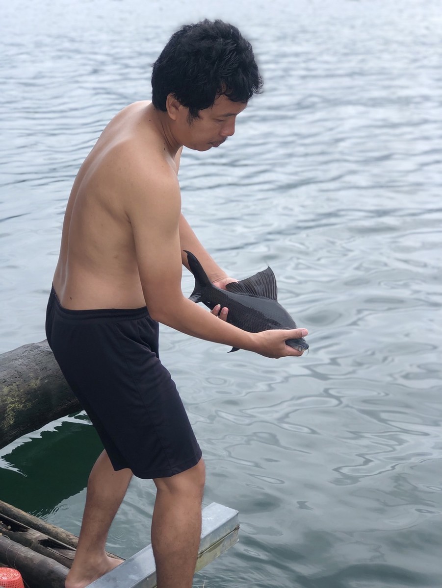 ตัวเล็กตัวน้อย ผมขออณุญาติปล่อยครับ