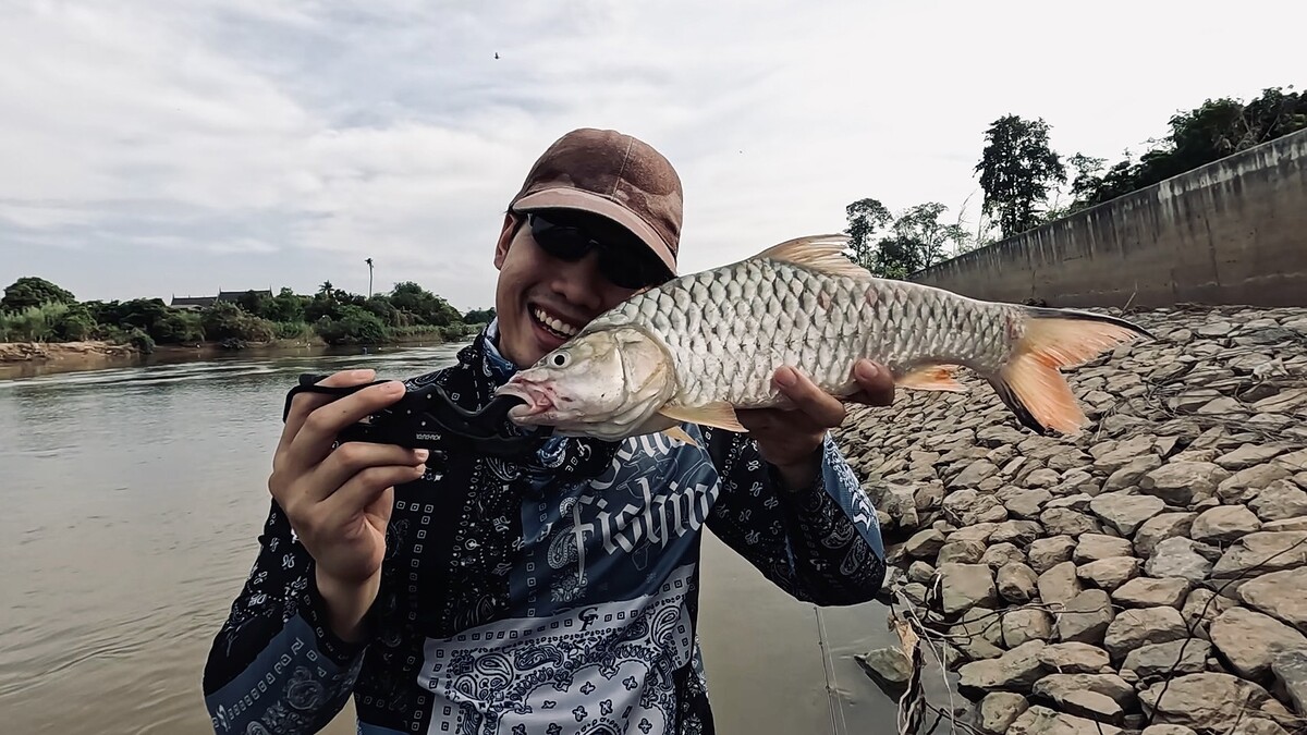 แต้มที่ 2 ของผมเป็นปลากระสูบ ขนาดโลกว่า
กระสูบตัวนี้ถือว่าขนาดดีเลยทีเดียว 
มันหลงกลซัดเหยื่อ "ปลา