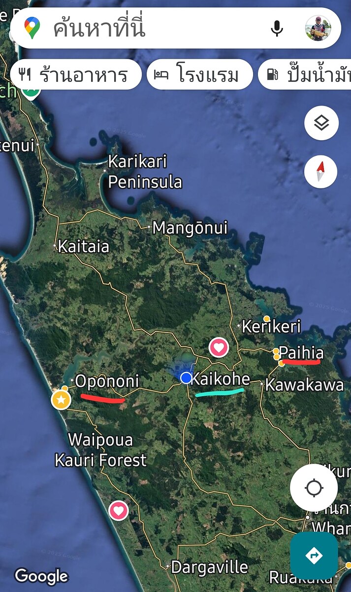 ผมมีโอกาสได้มาเมือง Kaikohe ซึ่งอยู่ตอนเหนือของเกาะเหนือประเทศนิวซีแลนด์  เป็นเวลาทั้งสิ้น 20 วัน ซึ
