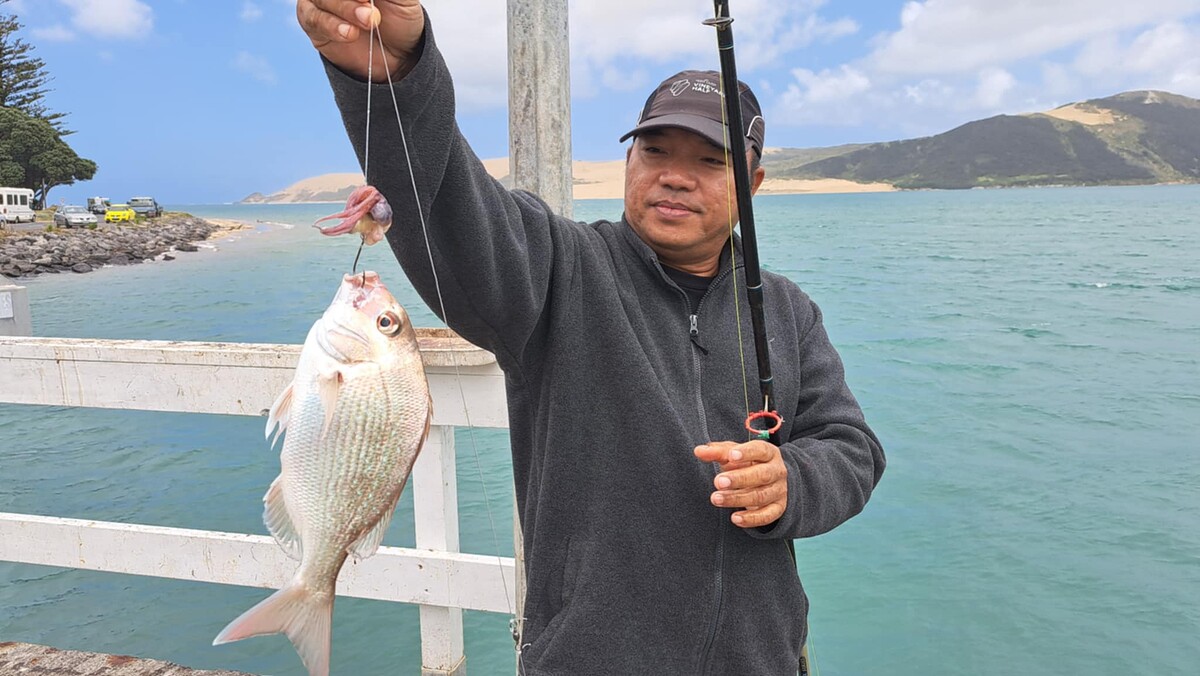 ตัวที่สามก็ตามมา .. คือ Snapper เจ้าเก่า ไซส์ที่ถ่ายรูปคือ ขนาดที่เอาปลากลับบ้านได้   ตัวเล็กกว่า 30
