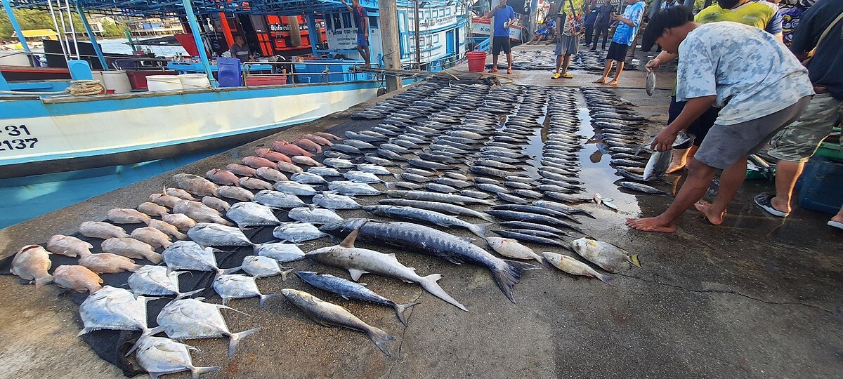 สุดท้ายแม้ว่า โลกโซเชี่ยล มันจะกว้างใหญ่ บุคลในเวปสยามของพวกเราจะเบาบางลงไปกว่าแต่ก่อนมาก ผมก็ดีใจที