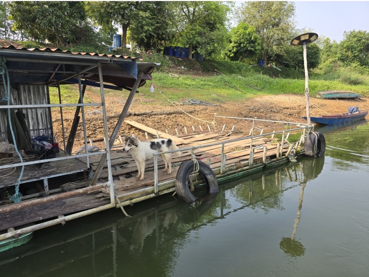  [b]ตอนแรกโดดขึ้นเรือนึกว่าจะไปด้วยเจ้าหมาน้อย[/b]