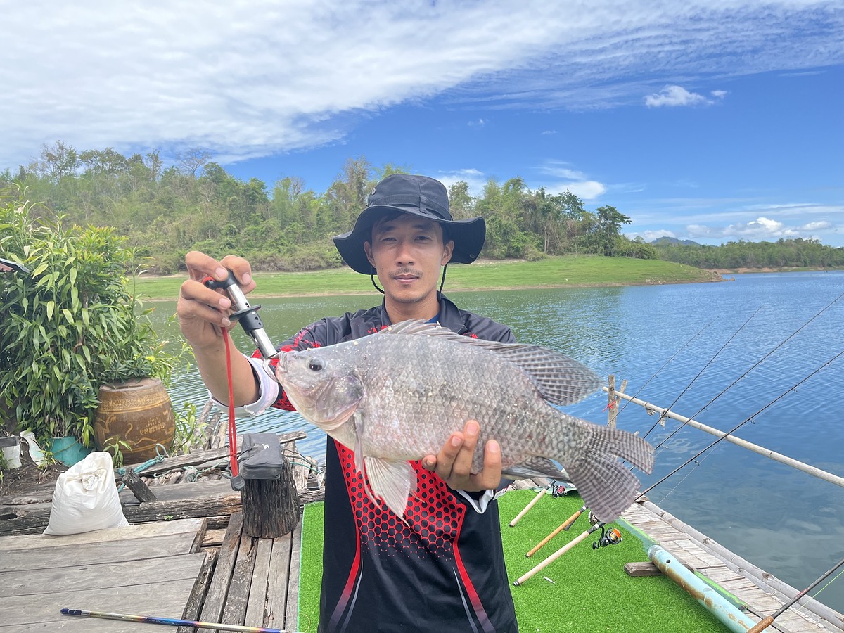 ไต๋วินบ้านเรดาร์