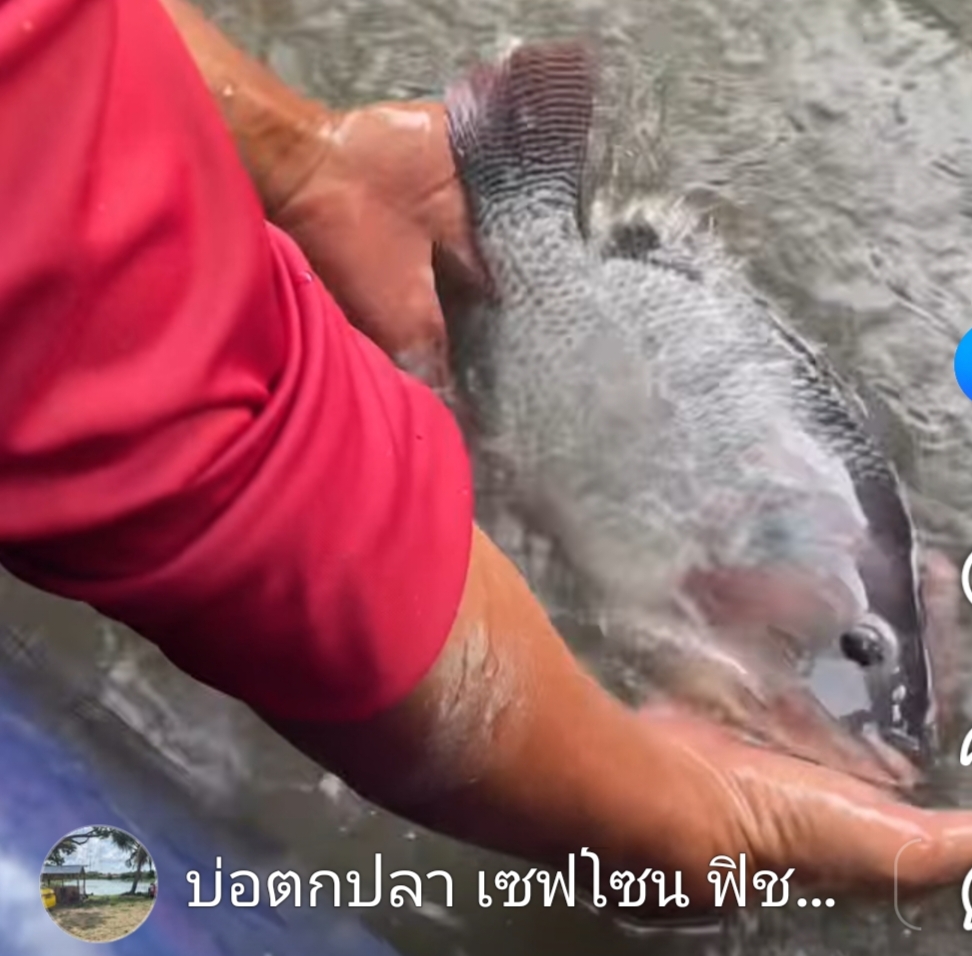 ตัวโล+