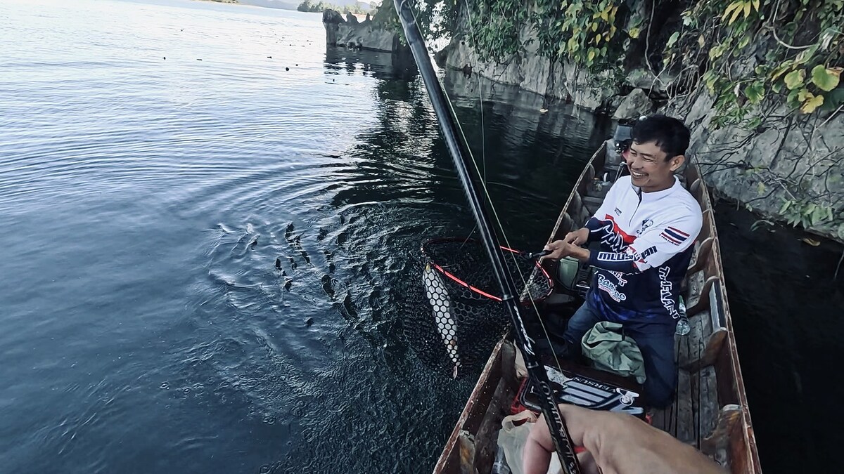 เมื่อเก็บสายเข้ามาได้ระยะก็เห็นตัวปลา 
มันเป็นปลากระสูบที่คาดการณ์ว่าขนาดน่าจะเกิน 1 กิโล 

"เอาแ