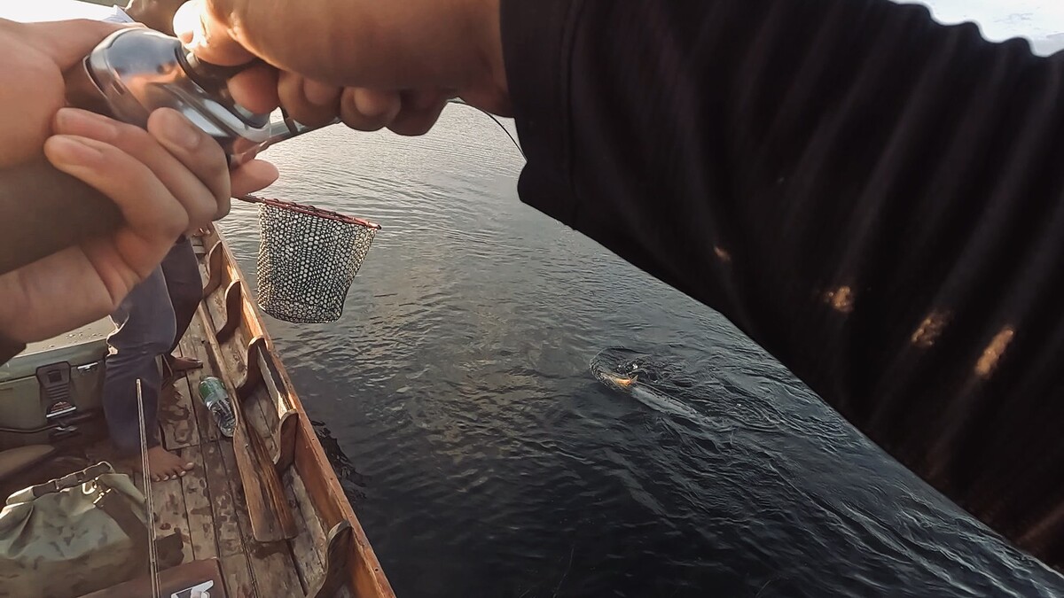 ผมเปิดกล้อง Go pro ที่คอ แล้วบันทึกภาพ เก็บ footage เพื่้อนำมาตัดคลิป 
ตอนนั้นผมเอาแต่พูดกับกล้องไม