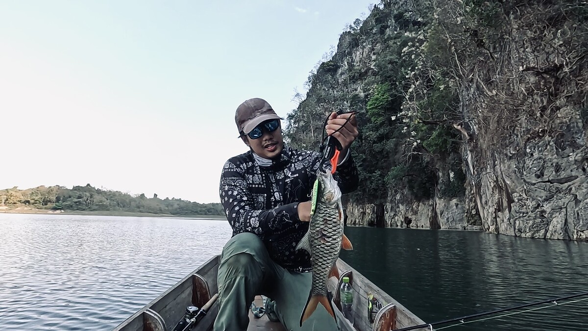 แต้มที่ 3 ของผมปลากระสูบตัวสวยทีเดียว
กัดเพนซิล เสียงดังสนั่นสะใจมากๆ 

Tackle data 

Lure : Ev